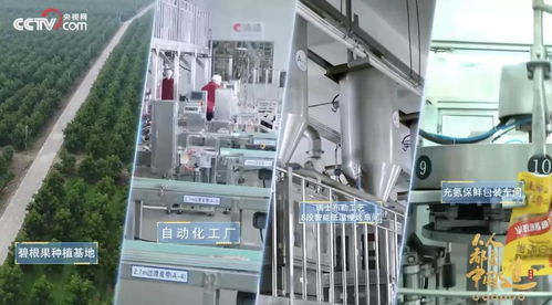 透明工廠再揭面紗 央視鏡頭下的洽洽，如何以技術內核引領堅果行業新鮮革命